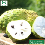 Trái mãng cầu xiêm thái