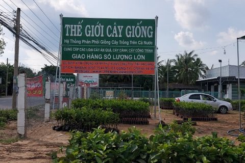 Thế Giới Cây Giống chi nhánh Châu Phú
