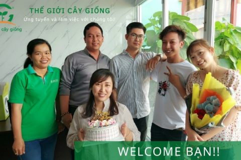 thế giới cây giống tuyển dụng