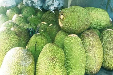 Giá mít thái 30/12