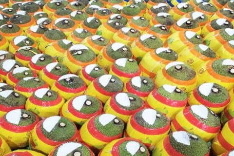 Giá mít Thái hôm nay 17/1: Giá mít chựng lại sau vài ngày tăng nhẹ, cách tuyển chọn trái mít đạt chuẩn xuất khẩu