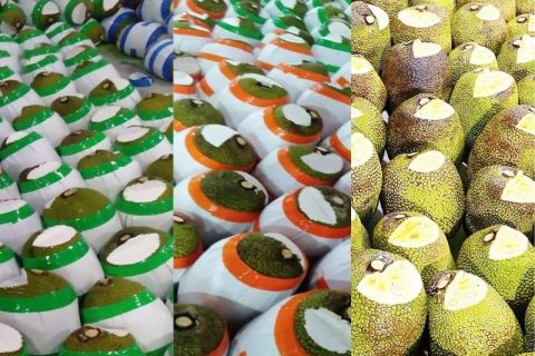 Giá mít Thái hôm nay 6/1: Một số vựa gom mít xuất khẩu đã mở cửa, cách nhận biết trái mít già qua da, cuống