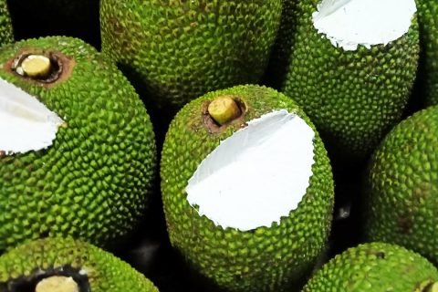 Giá mít Thái hôm nay 25/2: Giá cao nhất tại vườn 10.000 đồng/kg, vì sao trái mít to bự mà chỉ bán được mít chợ?