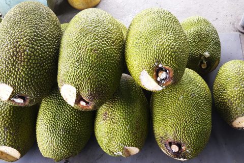 Giá mít Thái hôm nay 15/3: Khó qua cửa khẩu, mít Thái qua Trung Quốc bằng đường biển, mít Kem lớn 19.000 đồng/kg?