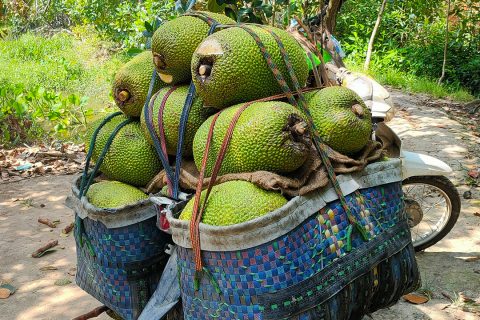 Giá mít thái hôm nay 22/3