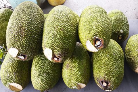 Giá mít Thái hôm nay 4/3: Giá mít lại quay đầu giảm sau 3 ngày tăng mạnh, vựa thu gom đoán giá thế nào?