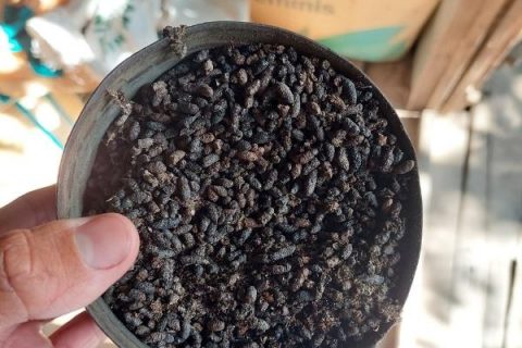 Phân dơi chất lượng giá rẻ