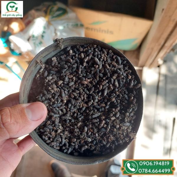 Phân dơi chất lượng giá rẻ