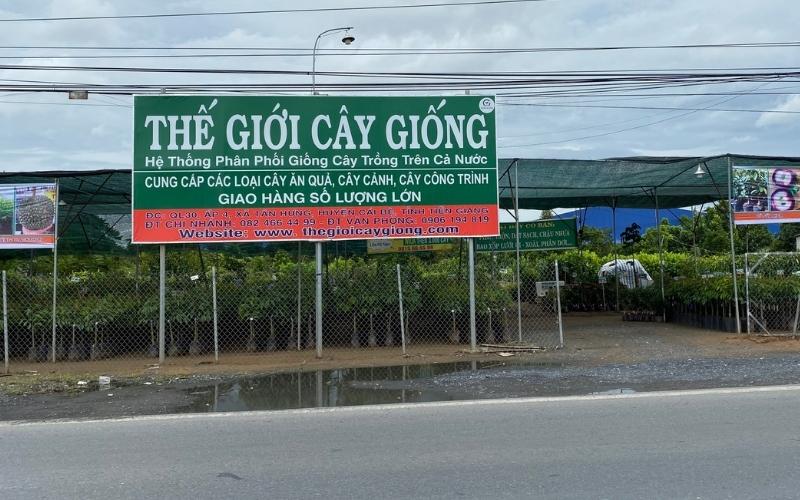Hệ thống Cửa hàng Thế Giới cây giống
